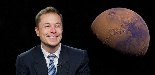 CEO Elon Musk